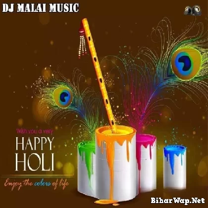 Malaai Music New Holi Dj Remix Songs